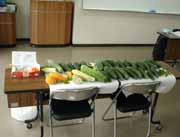 【研修会写真】